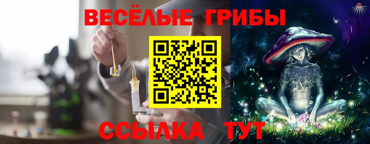 Галлюциногенные грибы Psilocybine cubensis Россошь
